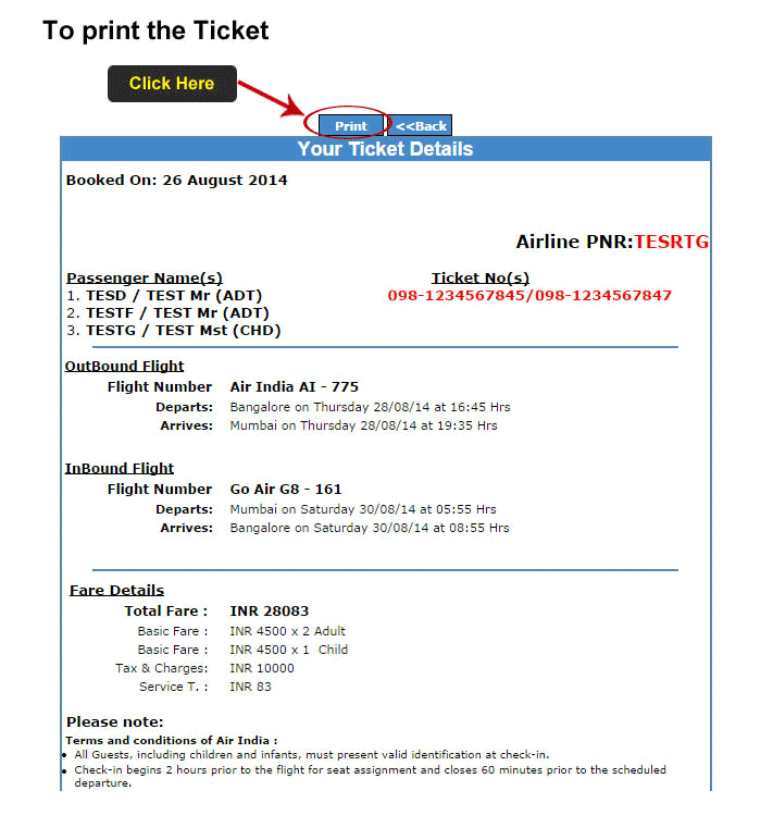 Print Air Ticket Details