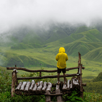 Nagaland