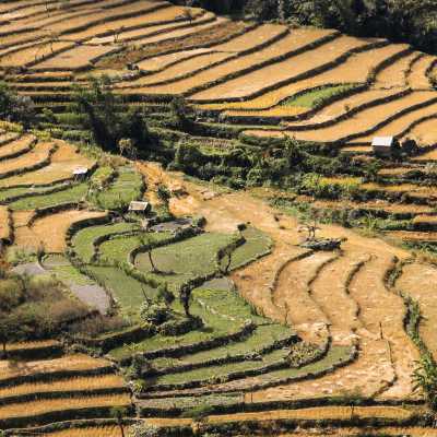 Nagaland