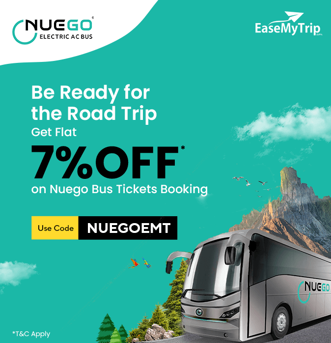 nuego-bus Offer