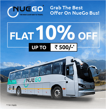 nuego-bus Offer