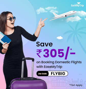 domestic-flight-ticket Offer