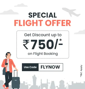 domestic-flight-sale Offer