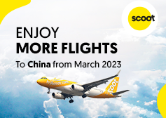 Scoot Airline