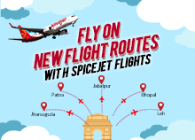 holi offer on spicejet