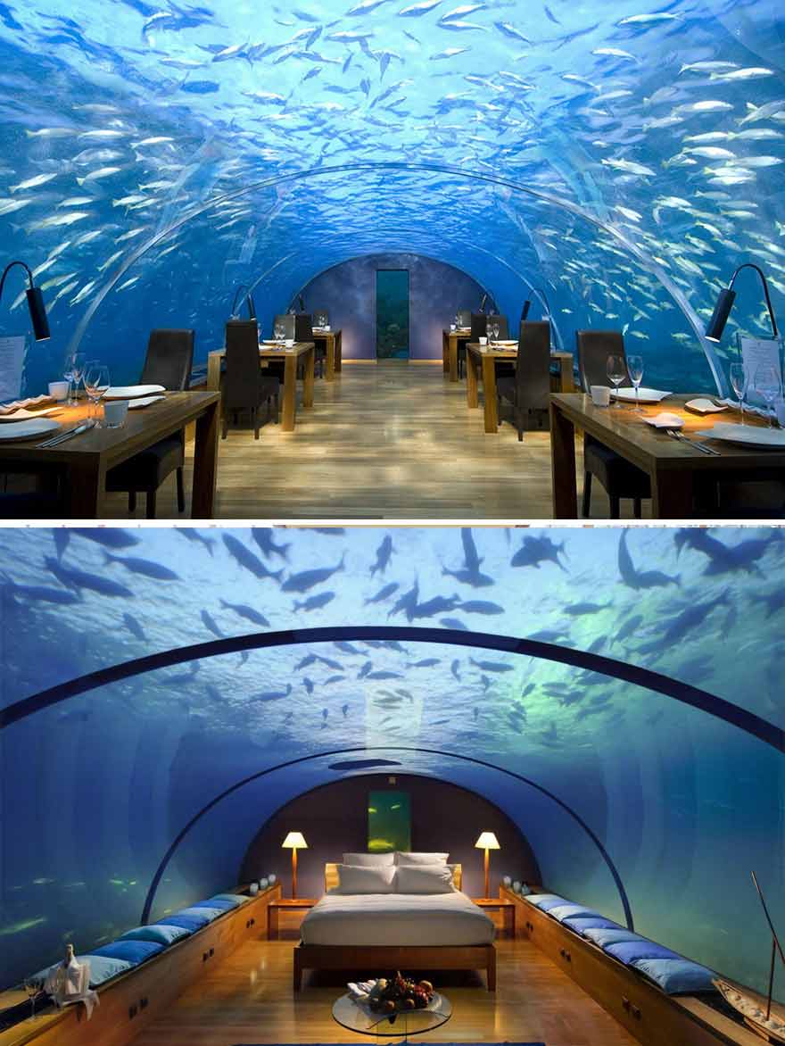 Ithaa Undersea Restaurant, Alif Dhaal Atoll, Maldives- food down the surface