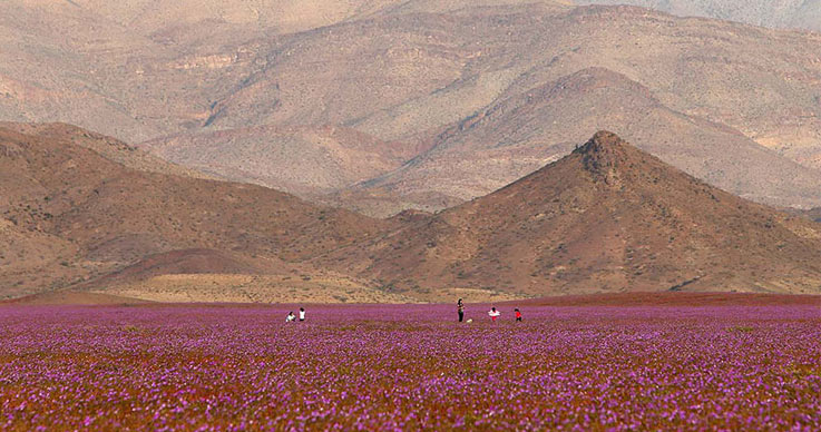 Atacama-Desert-4