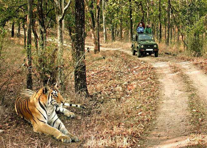 Bandhavgarh National Park in Madhya Pradesh