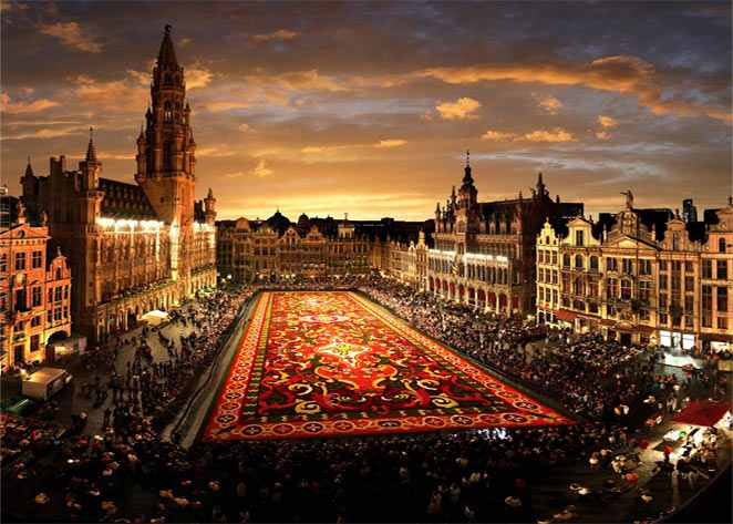 Brussels Flower Carpet