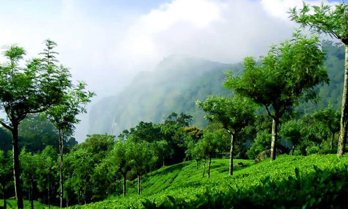 Coonoor, Tamil Nadu