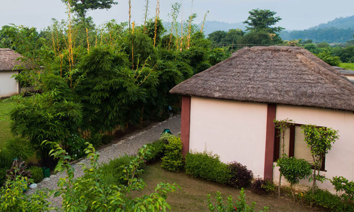 Corbett Machaan Resort