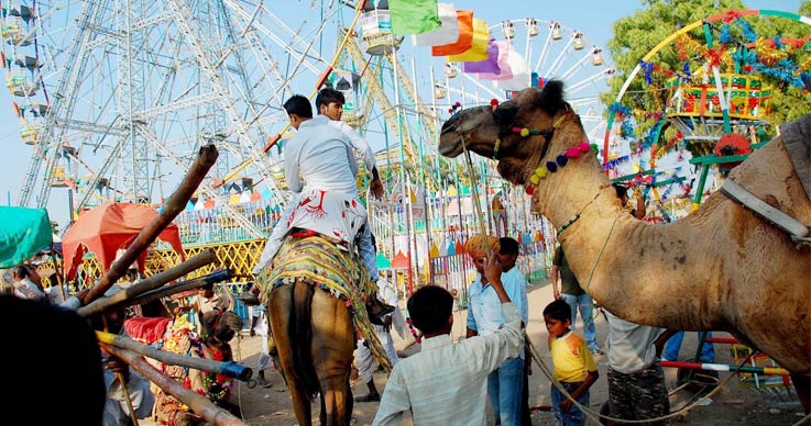 Pushkar Fair Events