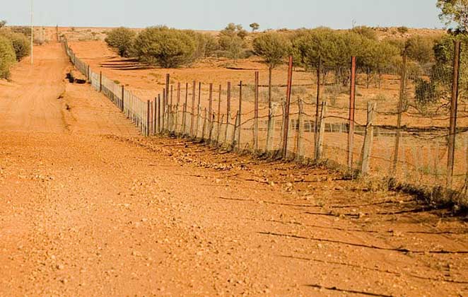 Australia have Largest Fence in the World