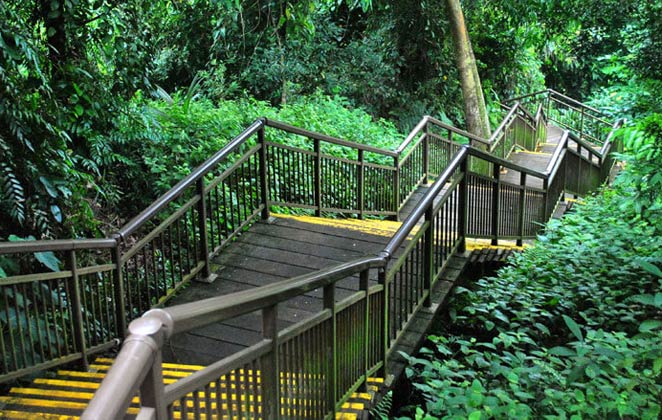 Hiking and Exploring at Mount Faber