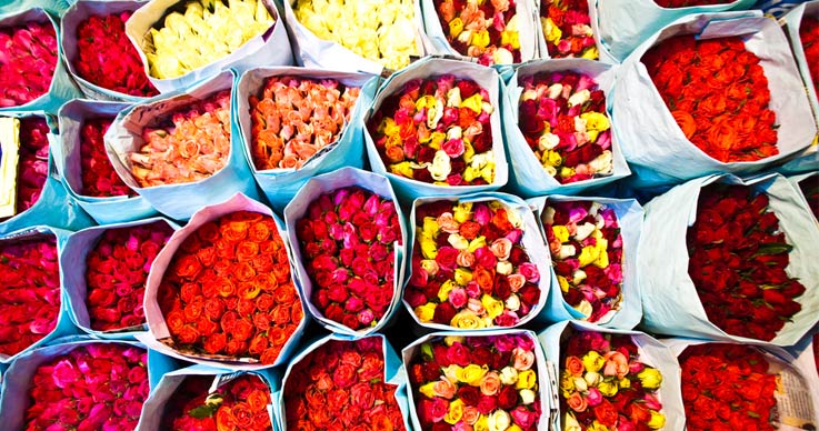 Visiting Flower Market (Pak Khlong Market)