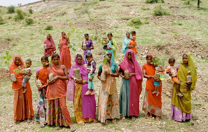 Discover the Amazing Village of Rajasthan that Plants 111 Trees Every Time a Girl Child Is Born