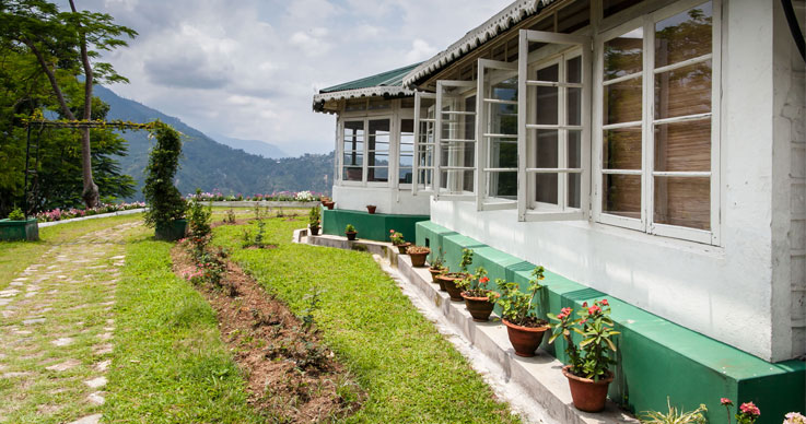 Glenburn Tea Estate,Darjeeling