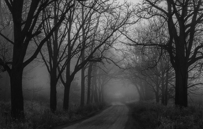 Know More about Some of the Really Haunted Roads in the World