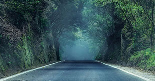 Haunted Roads