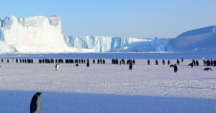 First Indian Cruise to Antarctica-4