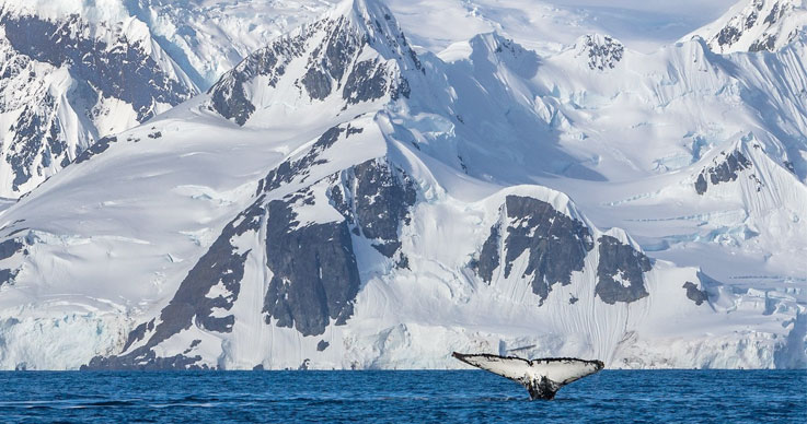 First Indian Cruise to Antarctica-3