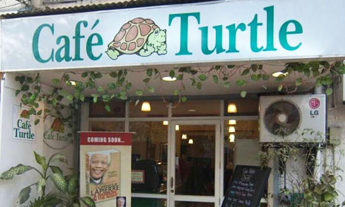Café Turtle