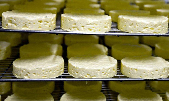 Kaimai Cheese Factory