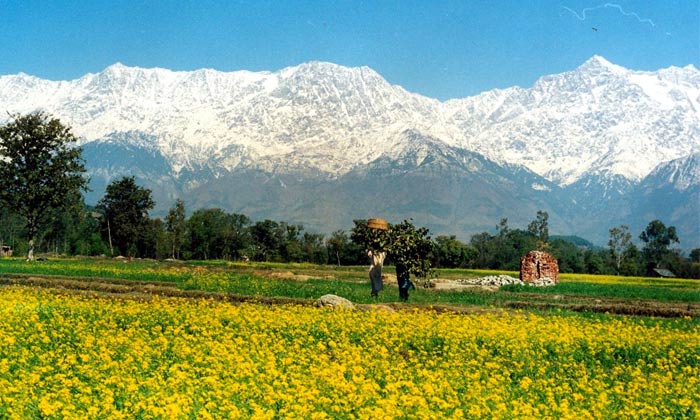 Kangra Valley