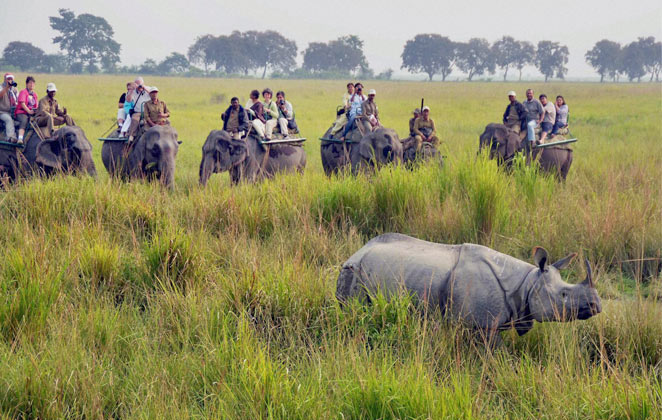 Kaziranga National Park, Assam