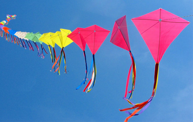 Makar Sankranti