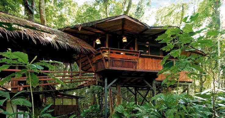 Tree Houses In India Best Tree House Resorts Easemytrip Com