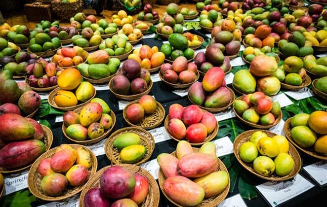 Celebrate International Mango Festival 2016 in Delhi