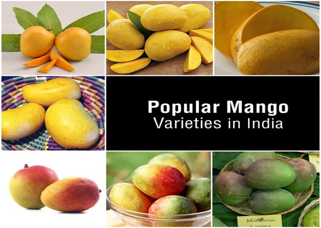 Enjoy International Mango Festival Delhi 2016 - EaseMyTrip.com