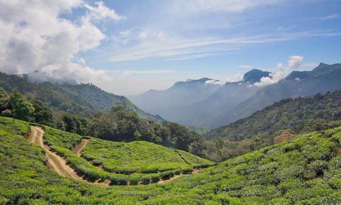 Munnar