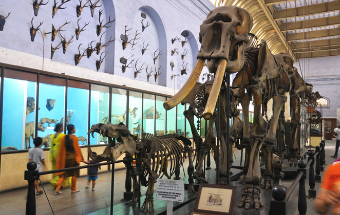 Museums in India Which Won’t Make Your Kids Bore