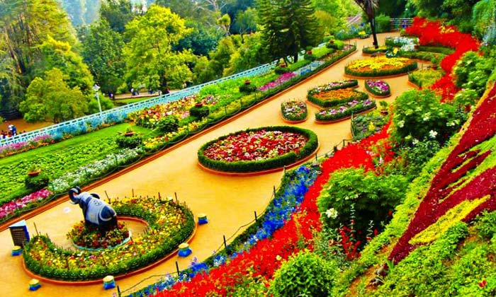 Ooty