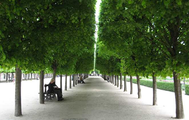 Enjoying a Walk in Palais Royal Gardens