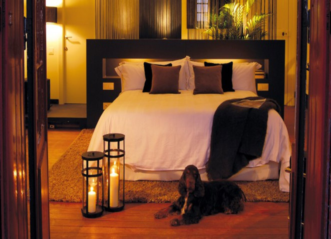 Pet Welcoming Hotels in India