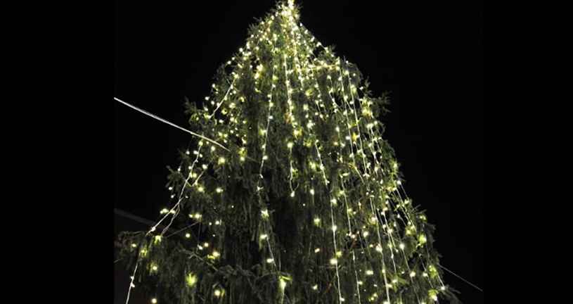 Piazza Venezia Christmas tree-4