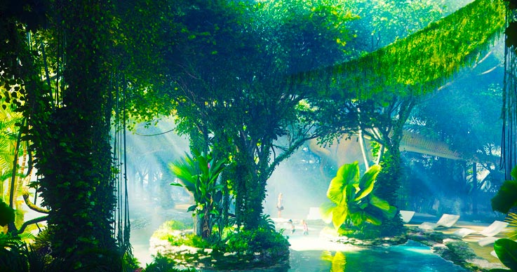 rainforest hotels in Dubai