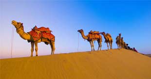Facts About Rajasthan