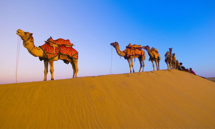 Some Interesting Facts about Rajasthan