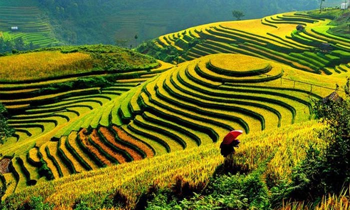 Stairways to Paradise - 11 of the Most Beautiful Rice Terraces in Asia