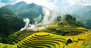 Rice Terraces