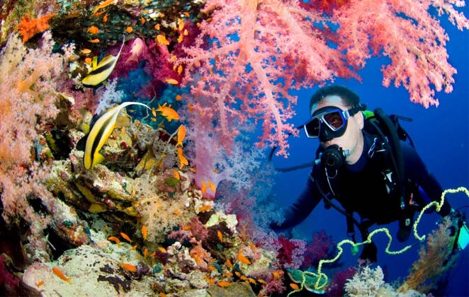 Go for Scuba Diving in Havelock Island