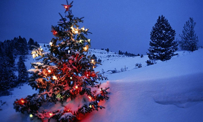 Celebrate Christmas at these 17 Destinations of India