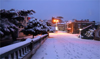 Shimla