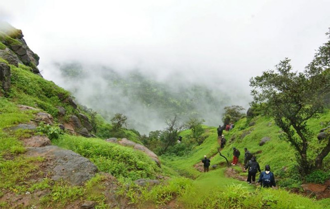 Sinhagad Trek Pune
