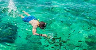 Enjoy Snorkeling