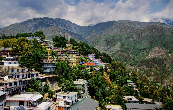 Soothing Vibe from McLeod Ganj